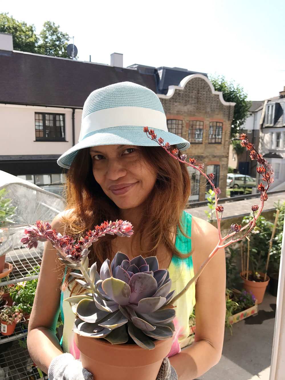 My prized succulent, which I bought from the local Marks & Spencer, is now triple the original size. Photo © Zarina Holmes