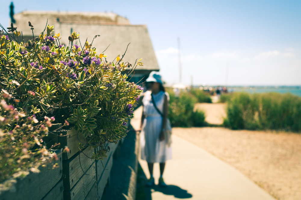 The beach is lined with boats and interesting wild flowers.