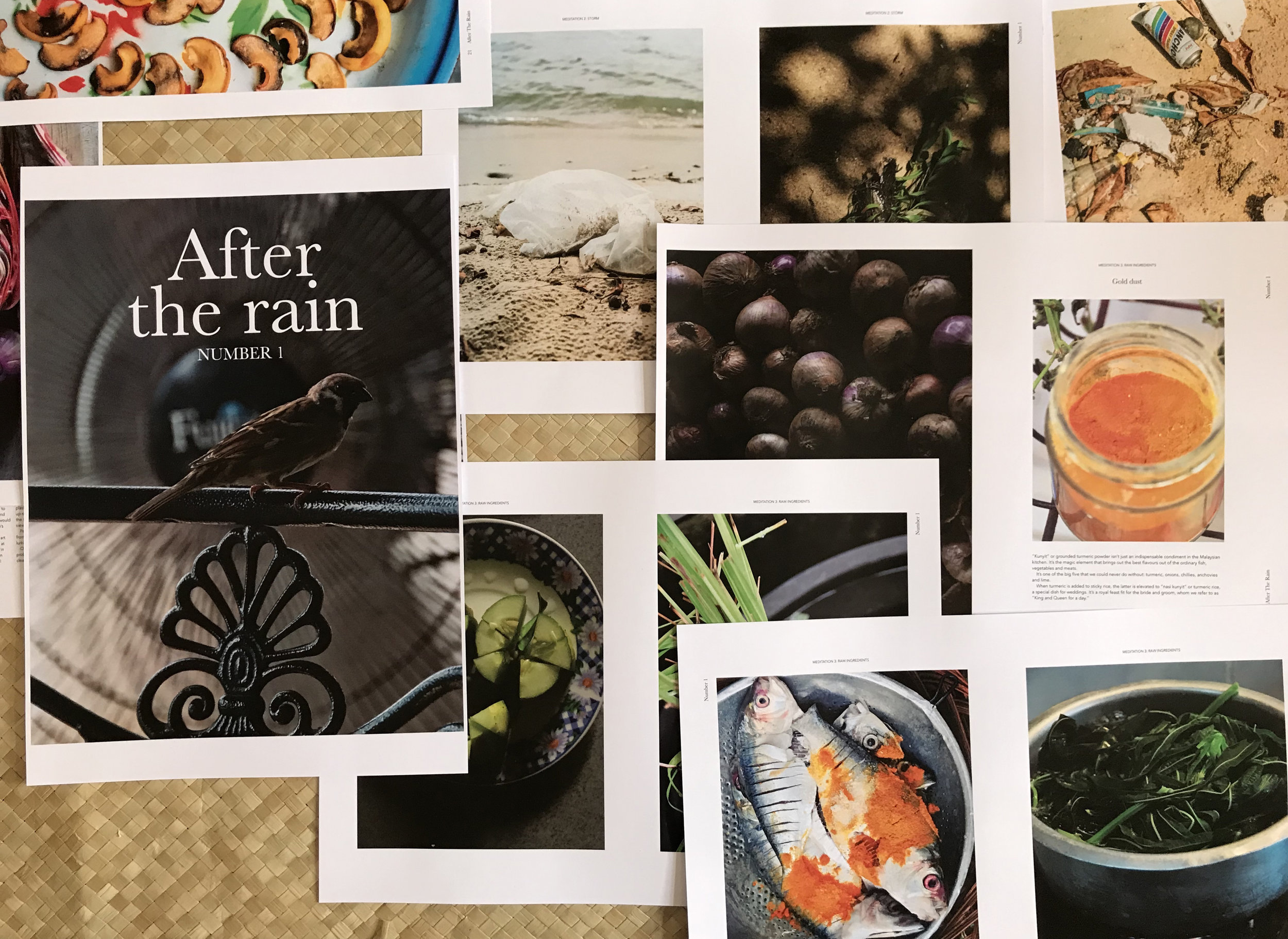 Print proofs of After The Rain, Number 1. It’s a collection of photographs taken over seven years.